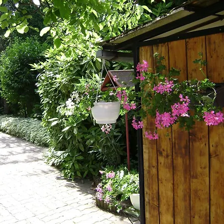 Frühstückspension Muskatli Vendeghaz